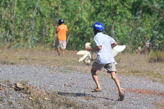 Hoi vit tren xe tai o Quang Binh: Bao gio nguoi Viet moi het thoi hu tat xau?