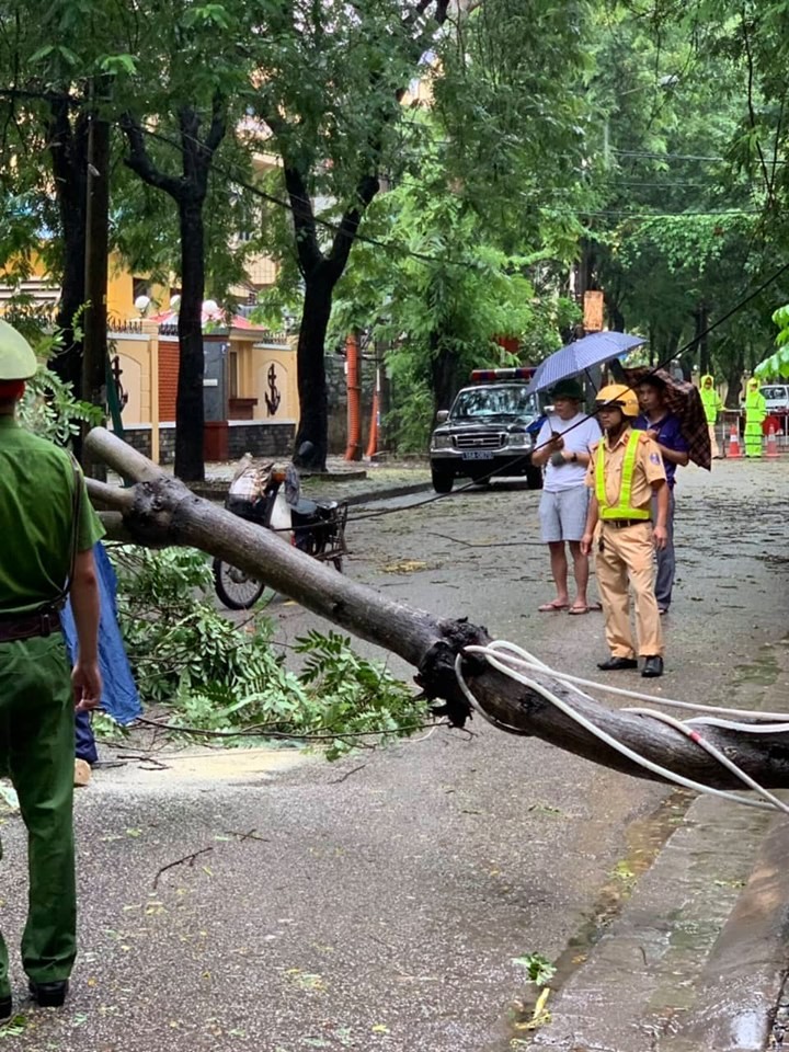 Anh huong bao so 3: Hai Duong ngap lut, Hai Phong bat goc cay xanh-Hinh-39