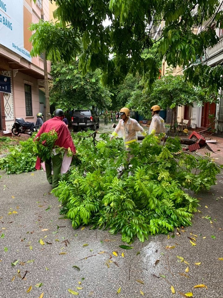 Anh huong bao so 3: Hai Duong ngap lut, Hai Phong bat goc cay xanh-Hinh-41