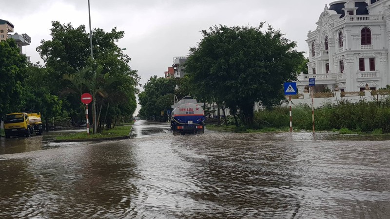 Anh huong bao so 3: Hai Duong ngap lut, Hai Phong bat goc cay xanh-Hinh-12