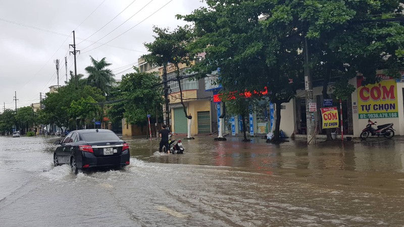 Anh huong bao so 3: Hai Duong ngap lut, Hai Phong bat goc cay xanh-Hinh-13