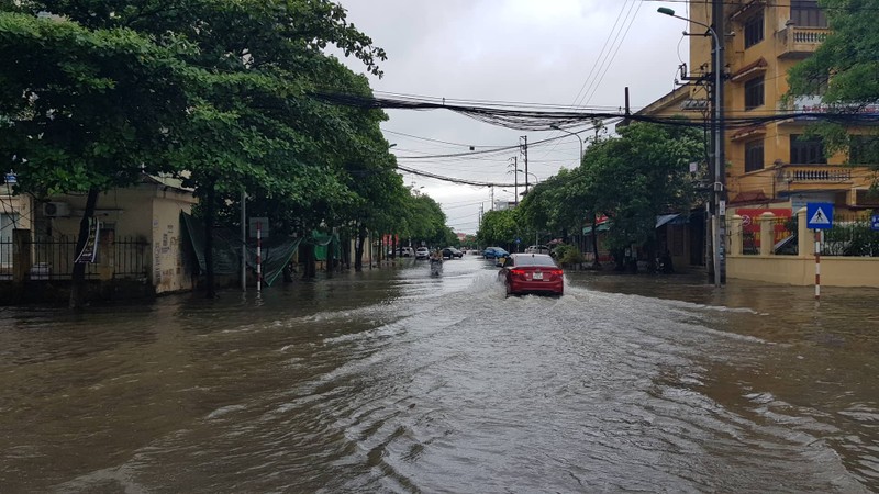 Anh huong bao so 3: Hai Duong ngap lut, Hai Phong bat goc cay xanh-Hinh-16