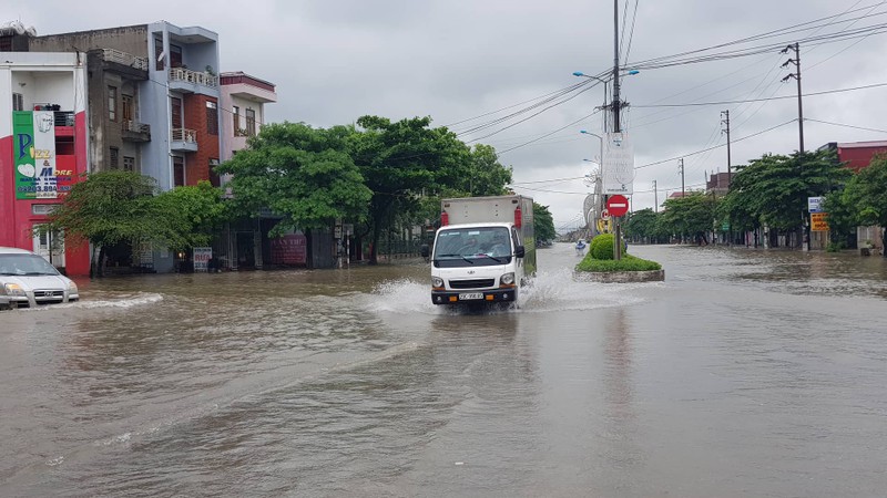 Anh huong bao so 3: Hai Duong ngap lut, Hai Phong bat goc cay xanh-Hinh-19