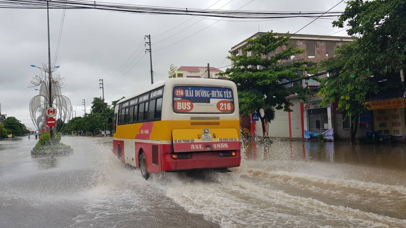 Anh huong bao so 3: Hai Duong ngap lut, Hai Phong bat goc cay xanh-Hinh-2