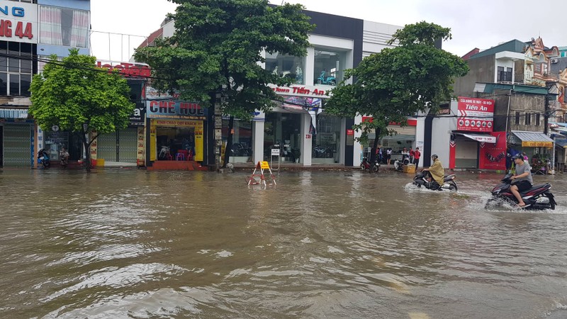 Anh huong bao so 3: Hai Duong ngap lut, Hai Phong bat goc cay xanh-Hinh-6