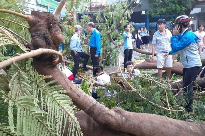 “Cay do trong truong... trach nhiem cua toi”: Ban linh Hieu truong Nguyen Van Phuc