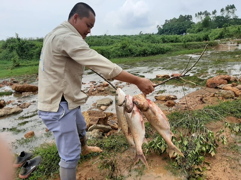 Vo dap thuy loi Dam Thin: Dan do xo xuong ho bat ca-Hinh-12