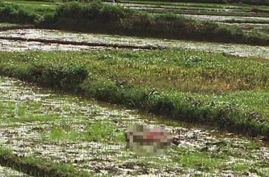 Dieu tra nguyen nhan 3 nguoi tu vong nghi an mang tai Dien Bien