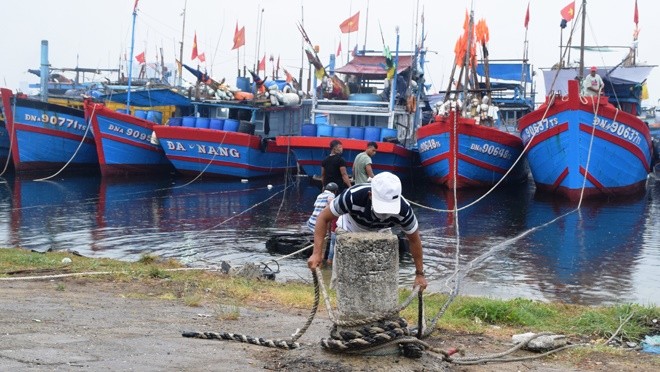 Bao so 9 giat cap 17, huong vao Da Nang-Phu Yen: Nguoi dan han che ra duong-Hinh-2