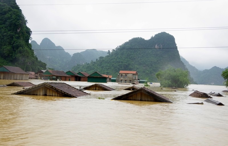 Mat rung, lu nhanh hon, tai hoa lon hon-Hinh-3