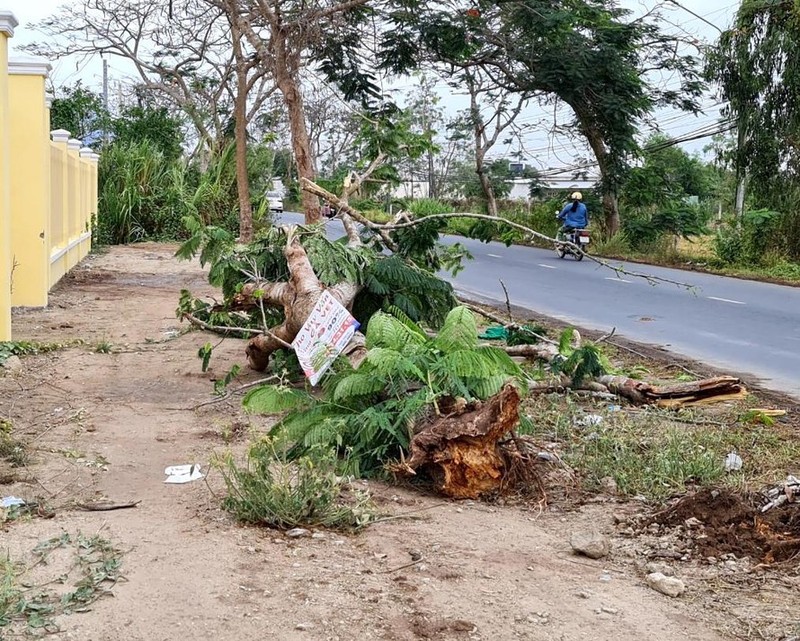 Cay do de chet nu dieu duong: Mang nguoi khong phai de... rut kinh nghiem