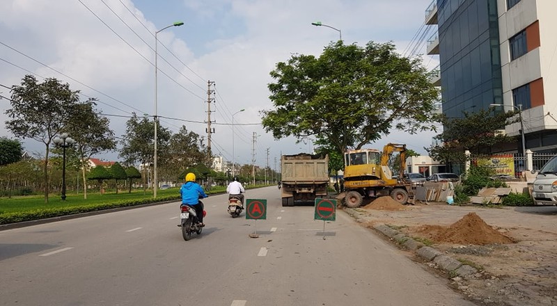 Thay the hon 700 cay xanh: Thanh pho Hai Duong lam thieu quy trinh?-Hinh-4