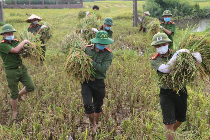 Cong an Vinh Phuc doi nang gat lua giup ba con dang cach ly COVID-19-Hinh-3