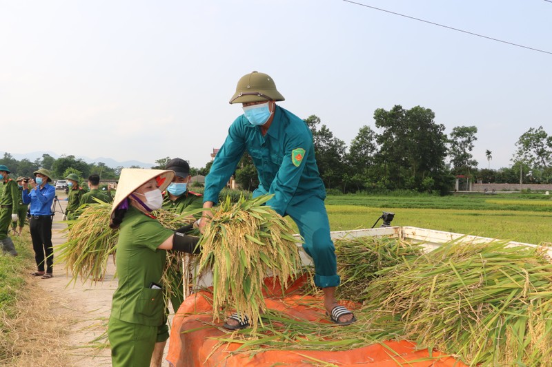 Cong an Vinh Phuc doi nang gat lua giup ba con dang cach ly COVID-19-Hinh-4