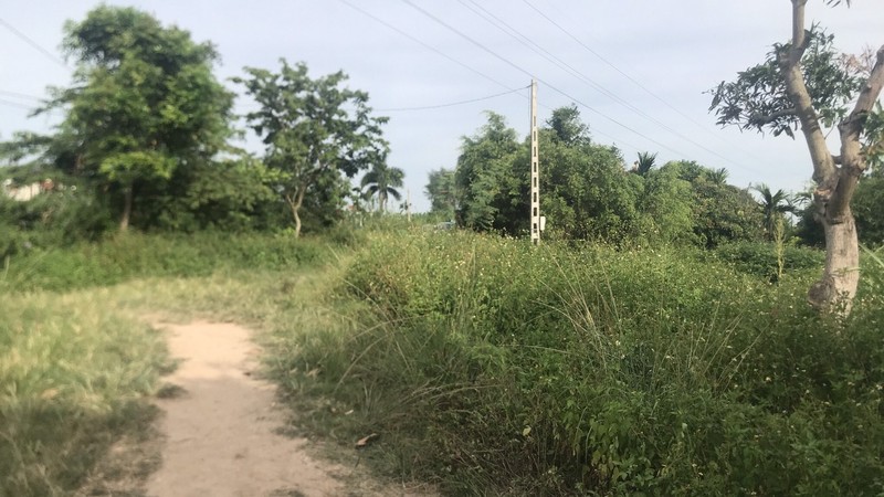 Toan canh vu giet nguoi, cuop tai san nguoi di doi no o Hai Duong-Hinh-9