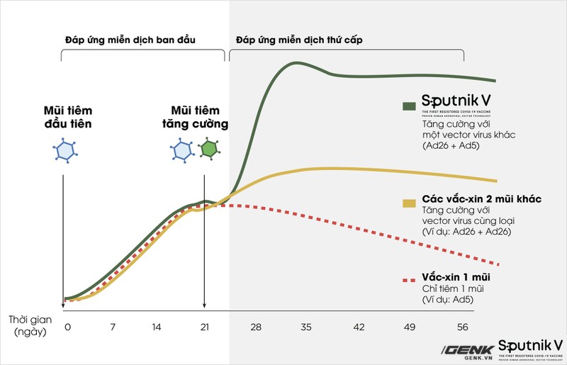 Tat ca thong tin can biet ve vaccine Sputnik V-Hinh-3