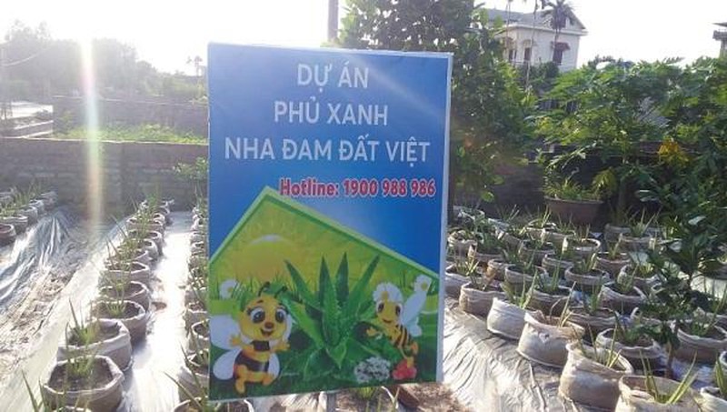 Bat thuong du an trong cay nha dam cua Cty Biobee Viet Phap