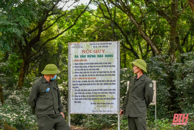 Tham rung sen lon nhat Dong Nam A tai Thanh Hoa-Hinh-4