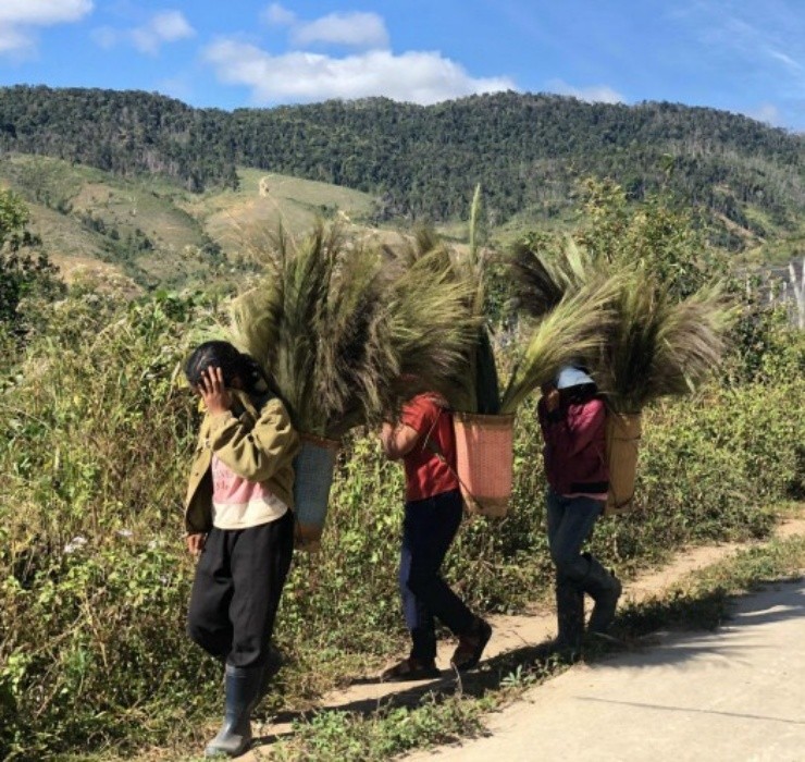 Loc troi 1 nam chi no 1 lan, muon hai phai lieu nhung kiem bon-Hinh-13