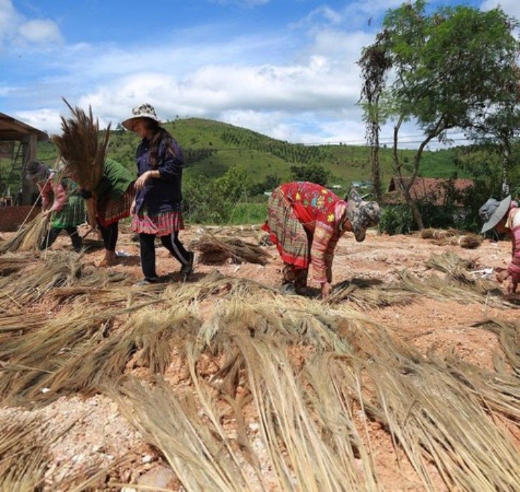 Loc troi 1 nam chi no 1 lan, muon hai phai lieu nhung kiem bon-Hinh-15