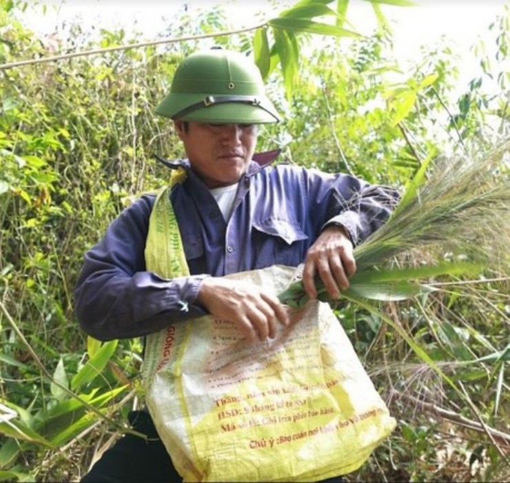 Loc troi 1 nam chi no 1 lan, muon hai phai lieu nhung kiem bon-Hinh-2