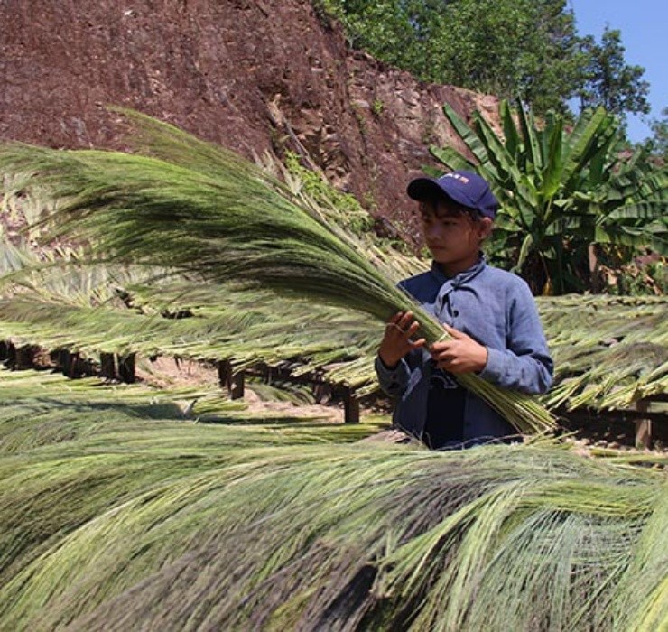 Loc troi 1 nam chi no 1 lan, muon hai phai lieu nhung kiem bon-Hinh-9