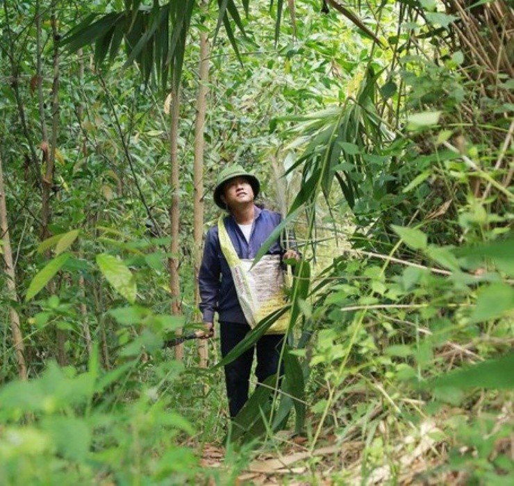 Loc troi 1 nam chi no 1 lan, muon hai phai lieu nhung kiem bon