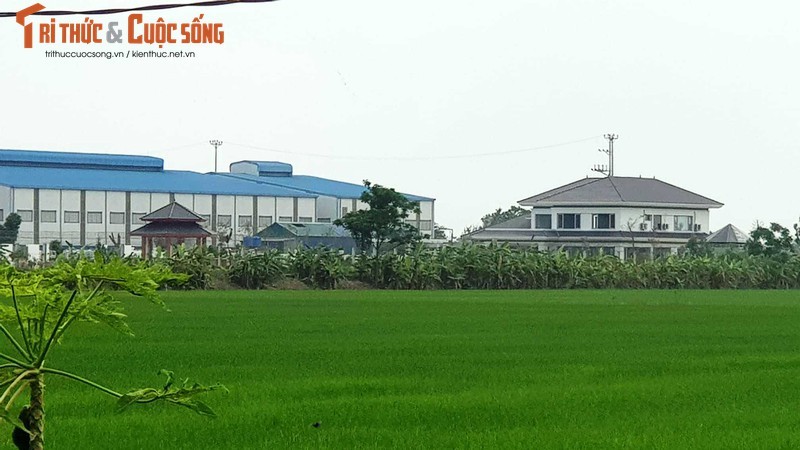 Biet thu “khung” xay tren dat nong nghiep o Hai Duong: Chu dau tu cam ket gi?