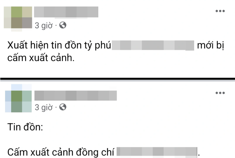 Xac minh, xu ly ke tung tin that thiet ve ty phu Pham Nhat Vuong-Hinh-2