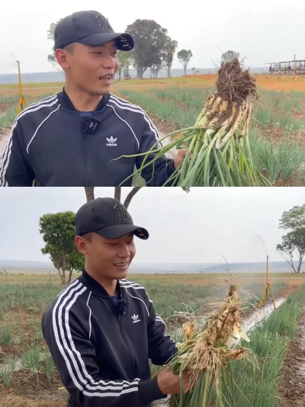 Quang Linh Vlog tiet lo 'goc khuat' it ai ngo ve nguoi dan chau Phi-Hinh-5