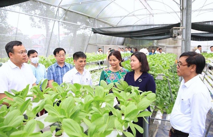 Gia tang san xuat, tao dot pha cho su tang truong Nong nghiep Ha Noi