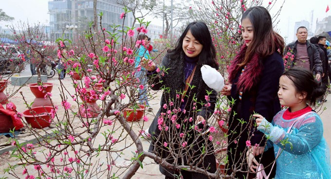 Ha Noi quan tam an sinh xa hoi, dam bao nguoi dan deu duoc vui xuan, don Tet