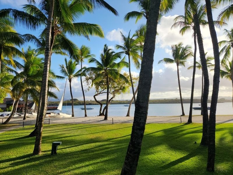 Mauritius- 