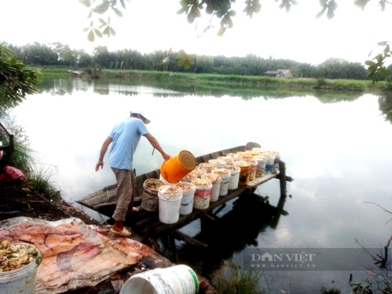 Nuoi ca tra kieu Sai Gon, ong nong dan thu tram trieu moi nam-Hinh-3