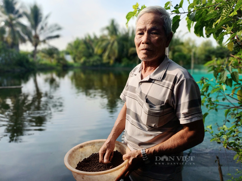 Nuoi ca tra kieu Sai Gon, ong nong dan thu tram trieu moi nam