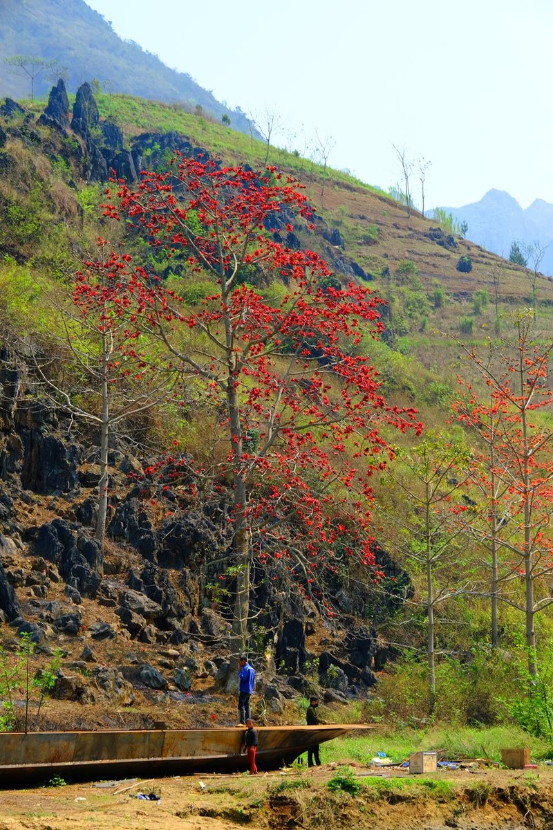 Khong phai ai cung biet Ha Giang con co mot mua hoa dep den the-Hinh-10