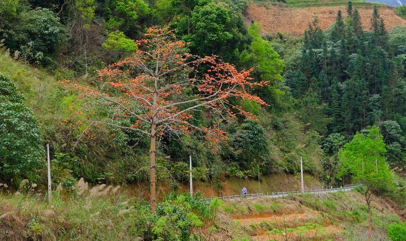 Khong phai ai cung biet Ha Giang con co mot mua hoa dep den the-Hinh-2