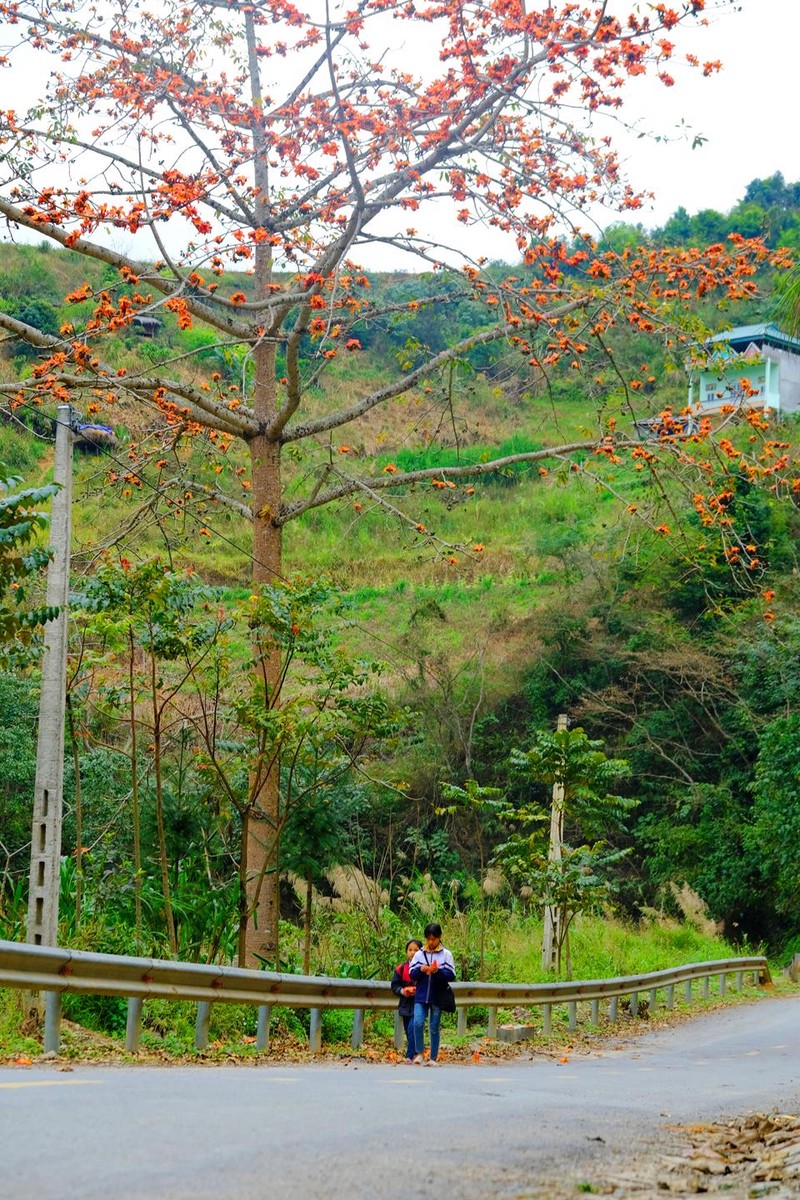 Khong phai ai cung biet Ha Giang con co mot mua hoa dep den the-Hinh-7