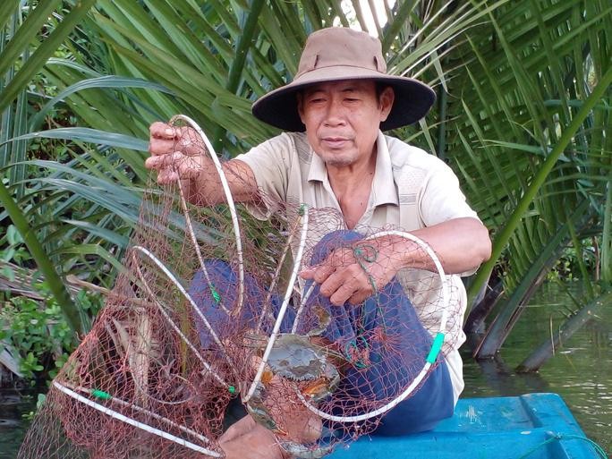 Sap den thanh minh, gia cua bien Ca Mau tang manh