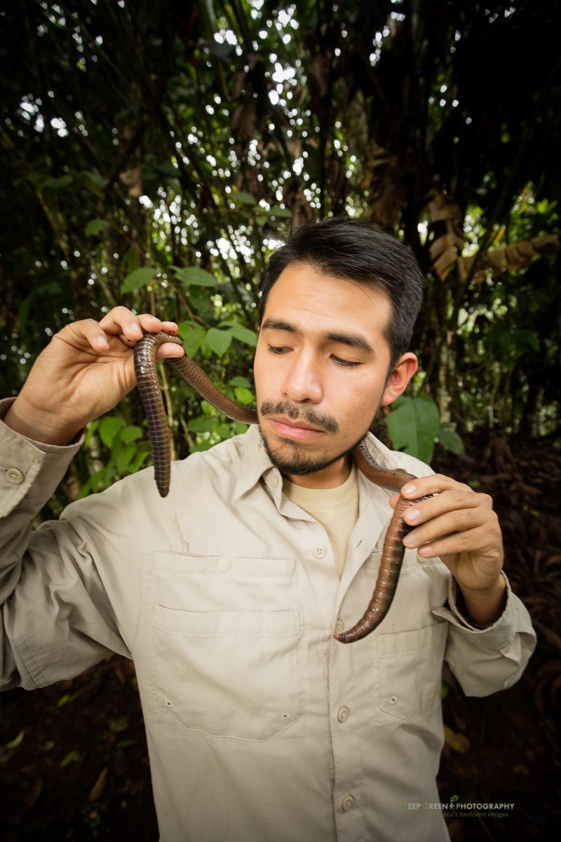 Bi an ve loai giun khong lo o Ecuador dai 1,5m-Hinh-4