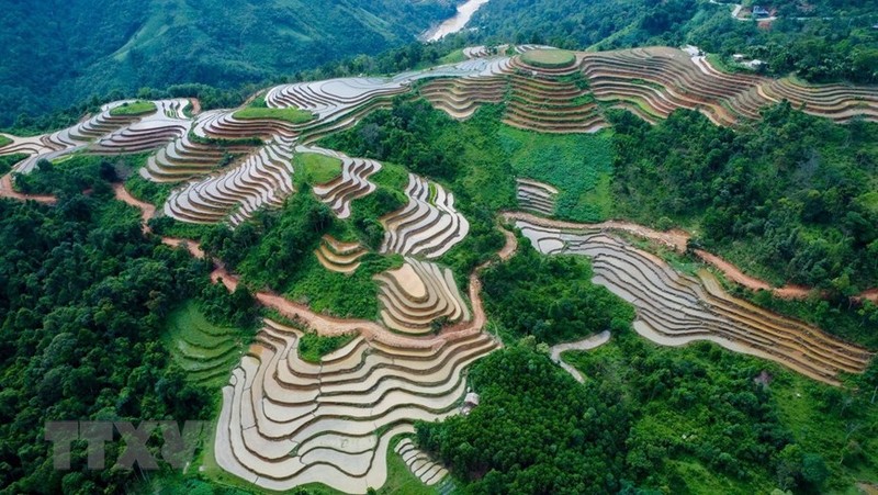 Ruong bac thang Ha Giang dep lung linh mua nuoc do-Hinh-7