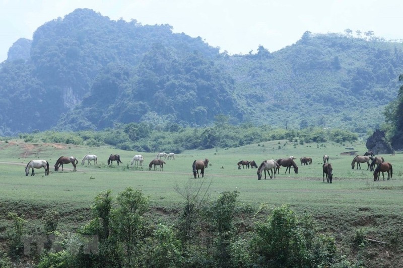 Kham pha thao nguyen Dong Lam xu Lang- mot 