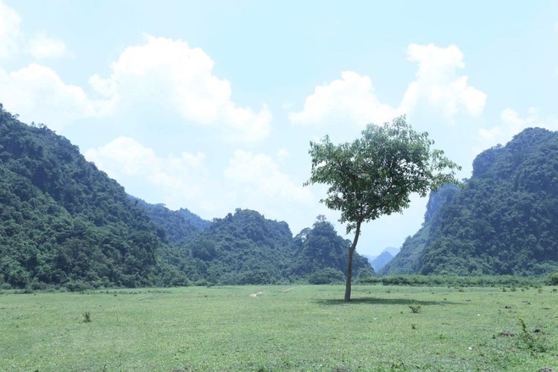 Kham pha thao nguyen Dong Lam xu Lang- mot 