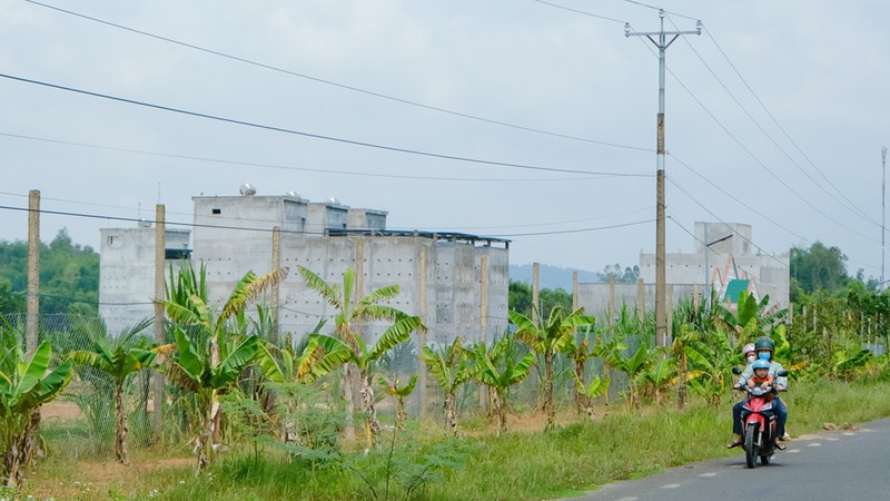 Nuoi chim yen mang lai thu nhap tien ti o Lam Dong