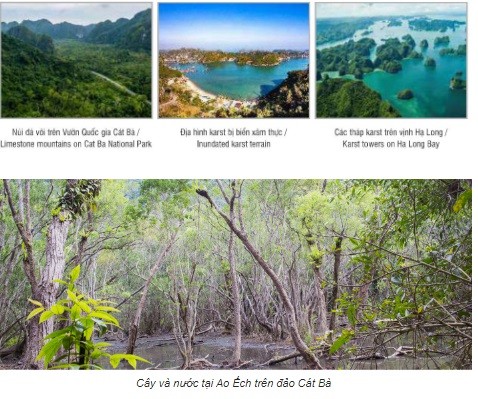 Vinh Ha Long - Quan dao Cat Ba duoc UNESCO cong nhan la Di san Thien nhien The gioi-Hinh-2