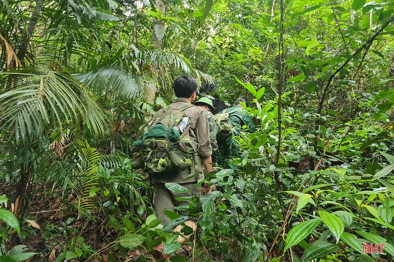 Kham pha nhung gia tri tiem an cua Vuon Quoc gia Vu Quang-Hinh-3