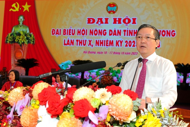 Hai Duong co tan Chu tich Hoi Nong dan tinh khoa X-Hinh-2