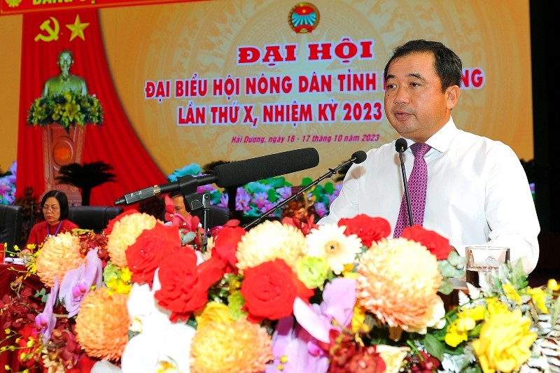 Hai Duong co tan Chu tich Hoi Nong dan tinh khoa X-Hinh-3