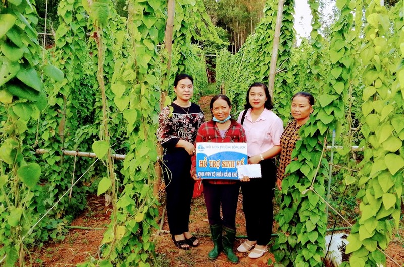 Trong suong sam tren dat go doi, nong dan Binh Dinh thu lai bat ngo-Hinh-2