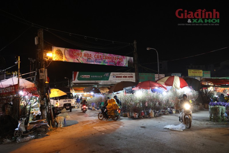 Gan Tet, cho hoa lon nhat Ha Noi van diu hiu du gia giam-Hinh-2